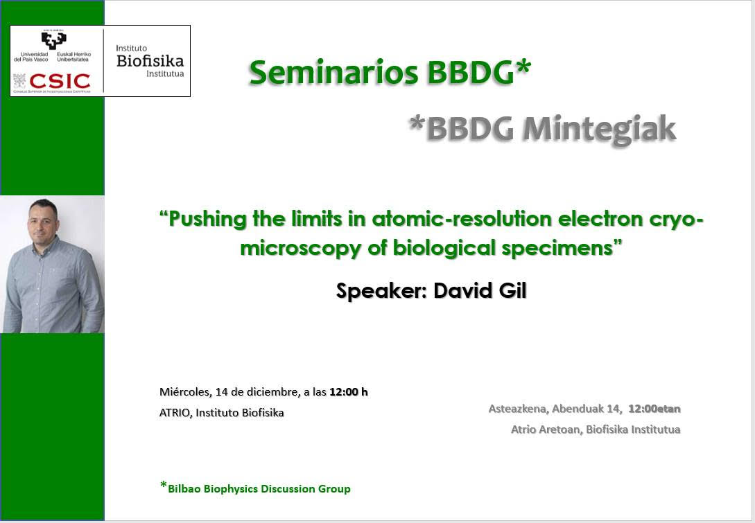BBDG Seminars: "Pushing the limits in atomic-resolution electros cryo-microscopy of biological specimenes""