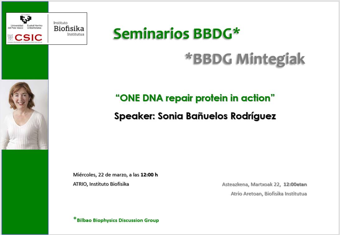 BBDG Seminars: "ONE DNA repair protein in action"