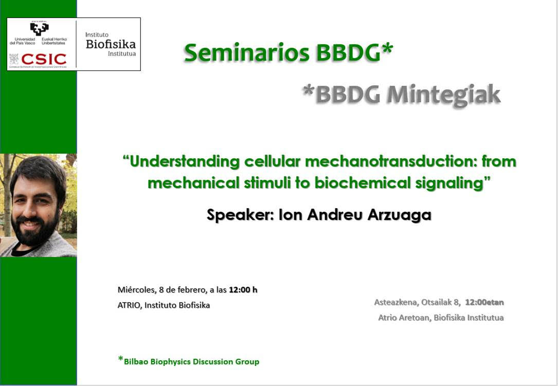 "Understanding cellular mechanotransduction: from mechanical stimuli to biochemical signaling"