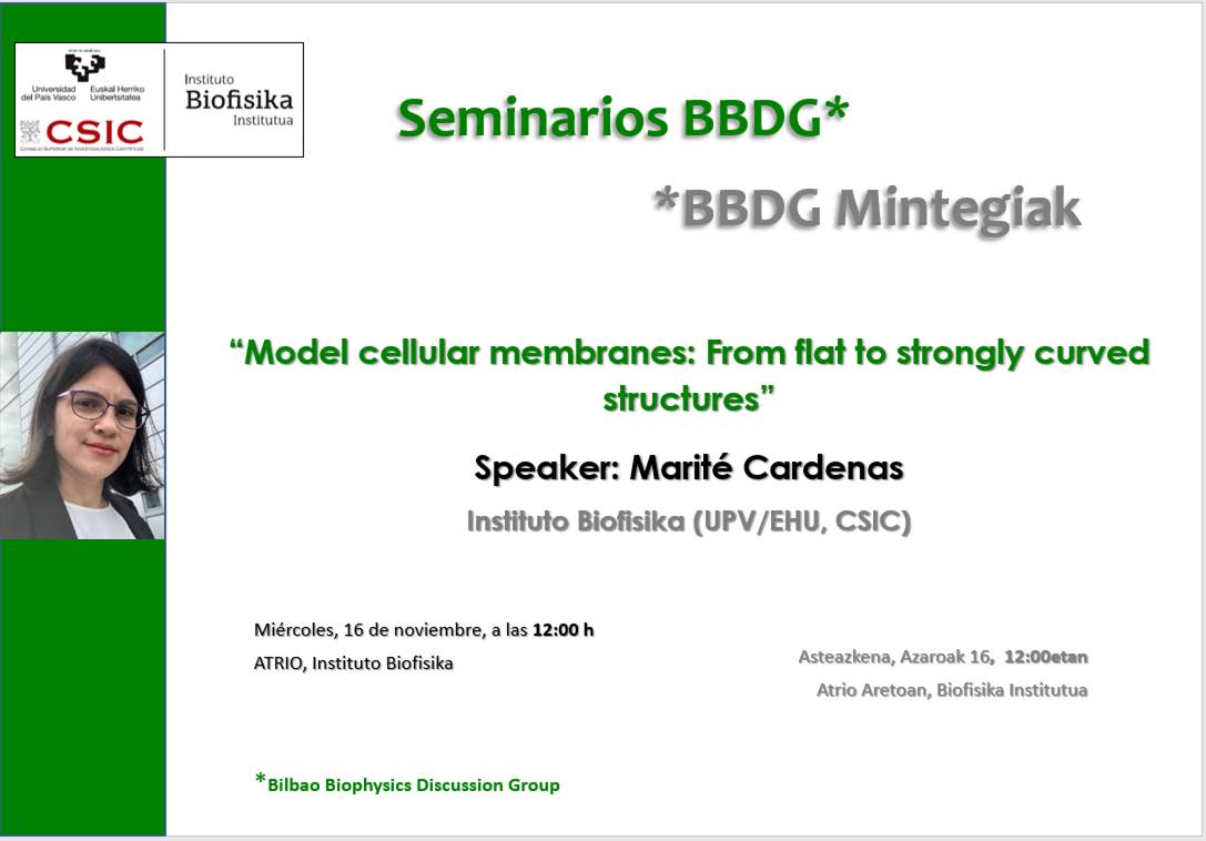 "Model celular membranes: From flat to strongly curved structures"