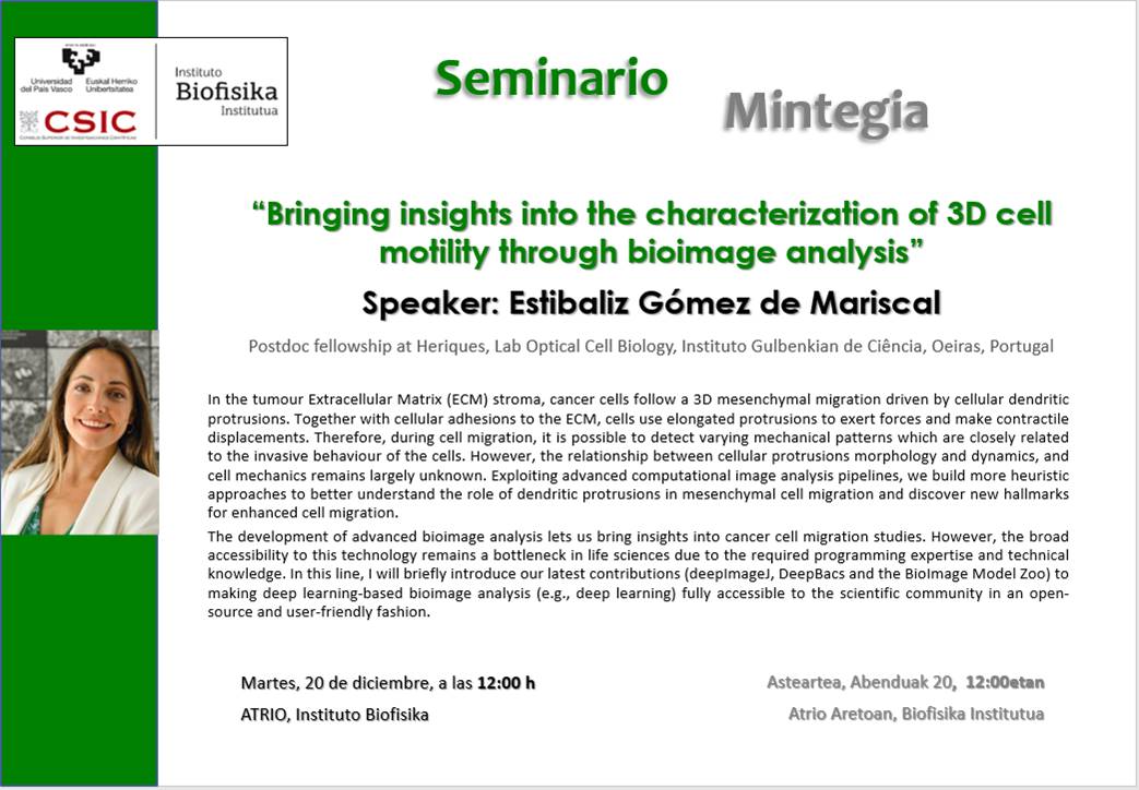 "Bringing insights into the characterization of 3D cell motility through bioimage analysis"
