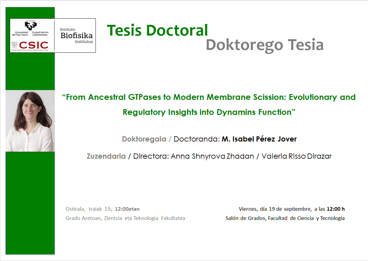 IBF Doctoral Thesis: "From Ancestral GTPases to Modern Membrane Scission: Evolutionary and Regulatory Insights into Dynamins Function"