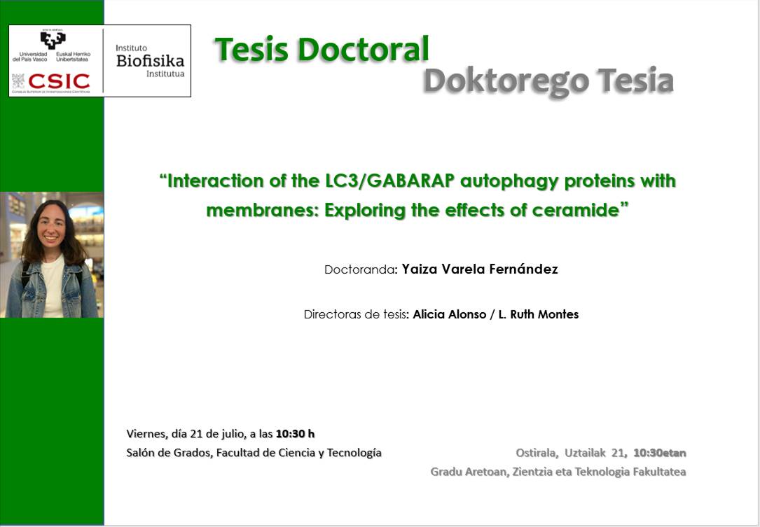 IBF Doctoral Thesis: "Interaction of the LC3/GABARAP autophagy proteins with membranes: Exploring the effects of ceramide"