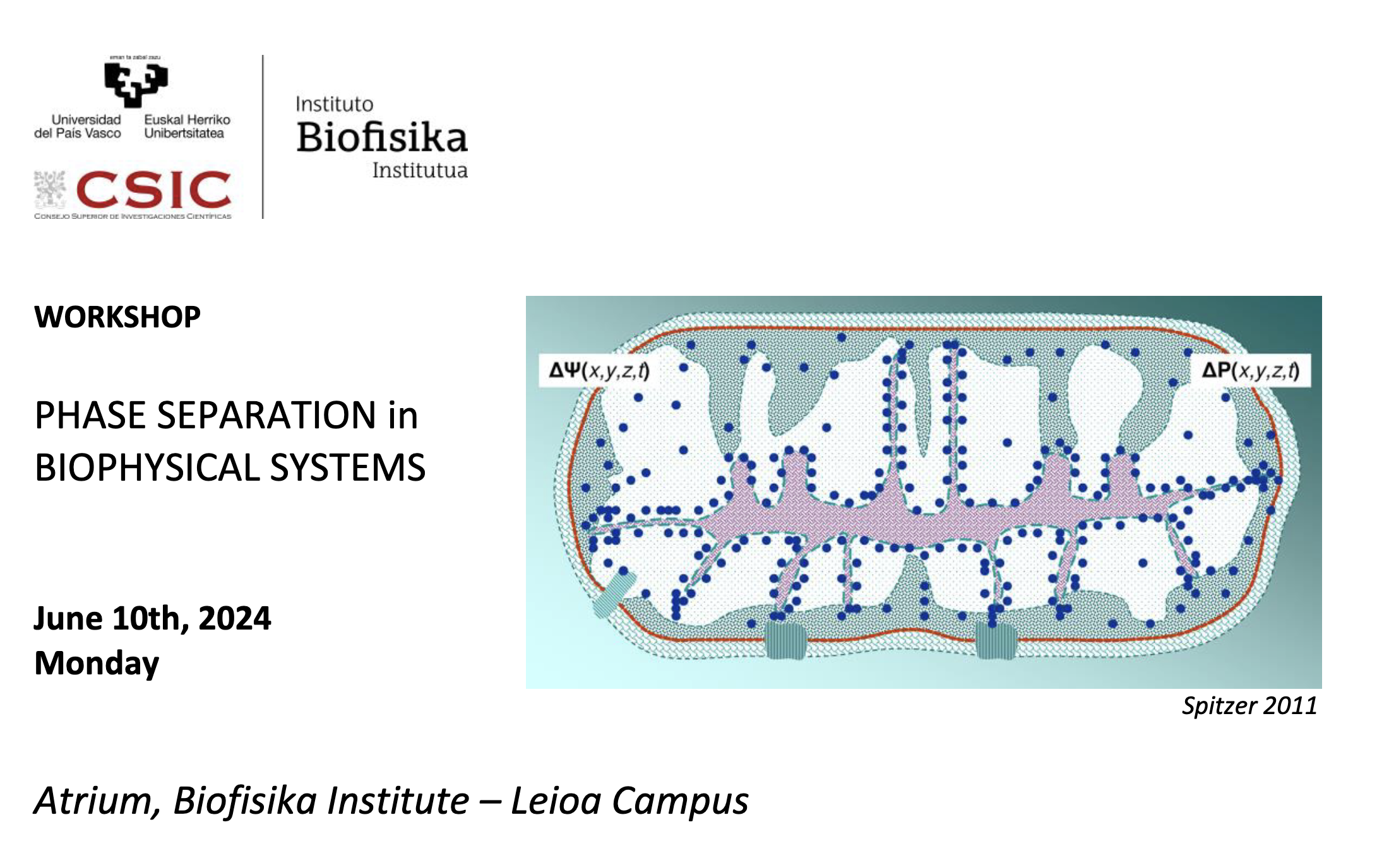 Workshop: "Phase Separation in Biophysical Systems"