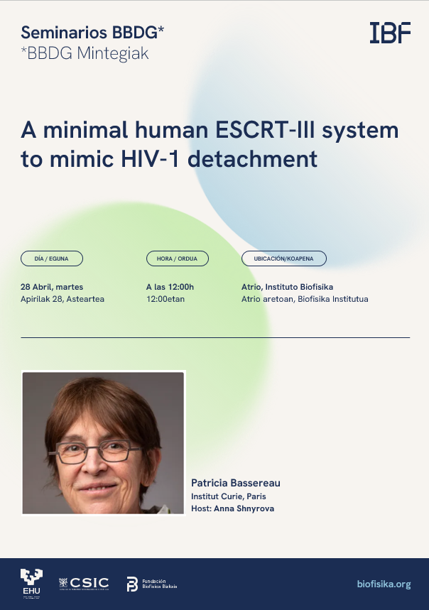 BBDG Seminar: "A minimal human ESCRT-Ill system to mimic HIV-1 detachment"