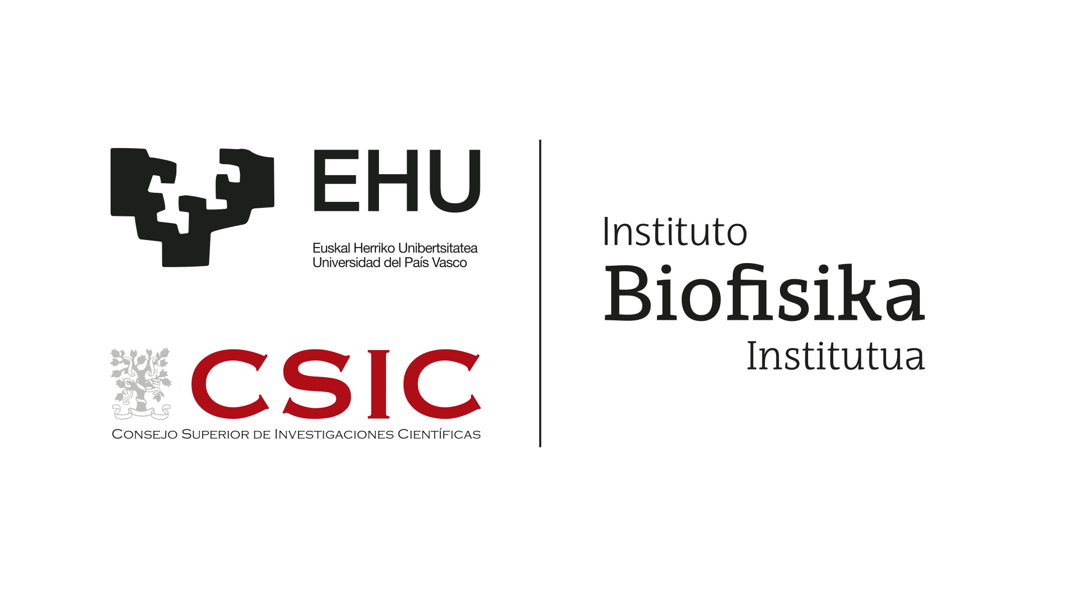 IBF-EHU-CSIC_Color