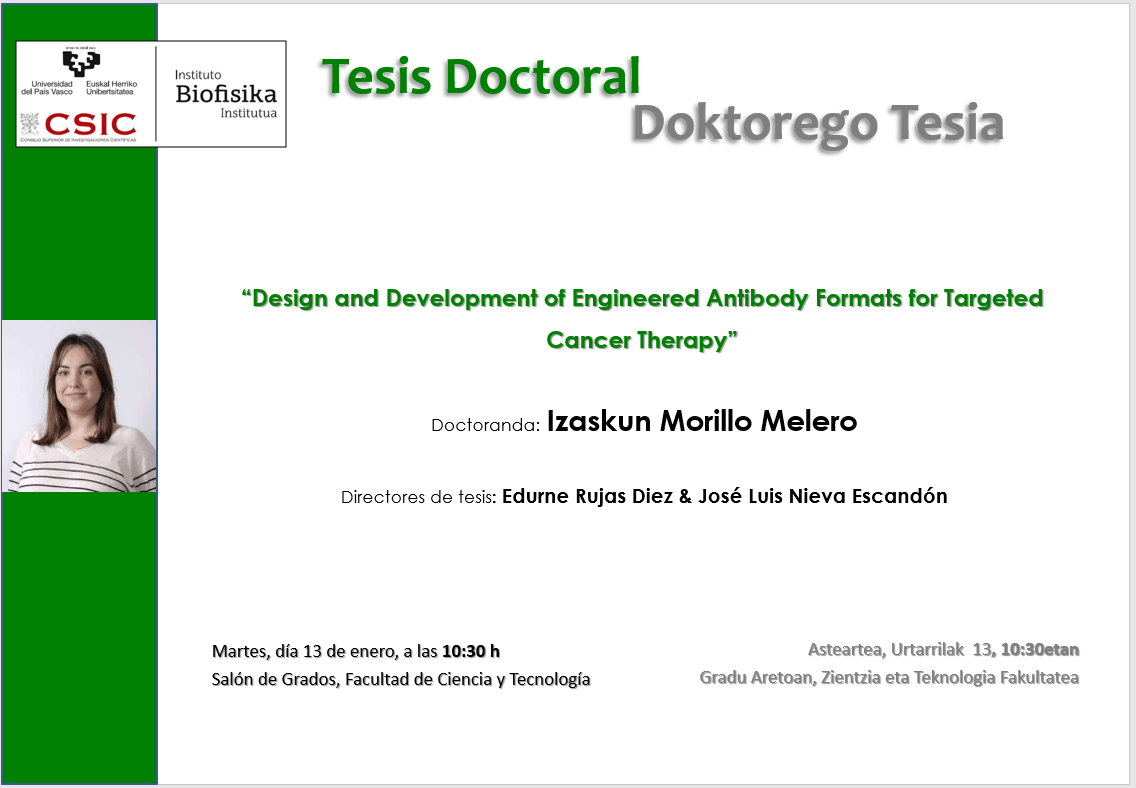 IBF Doctoral Thesis: "Design and Development of Engineered Antibody Formats for Targeted Cancer Therapy"