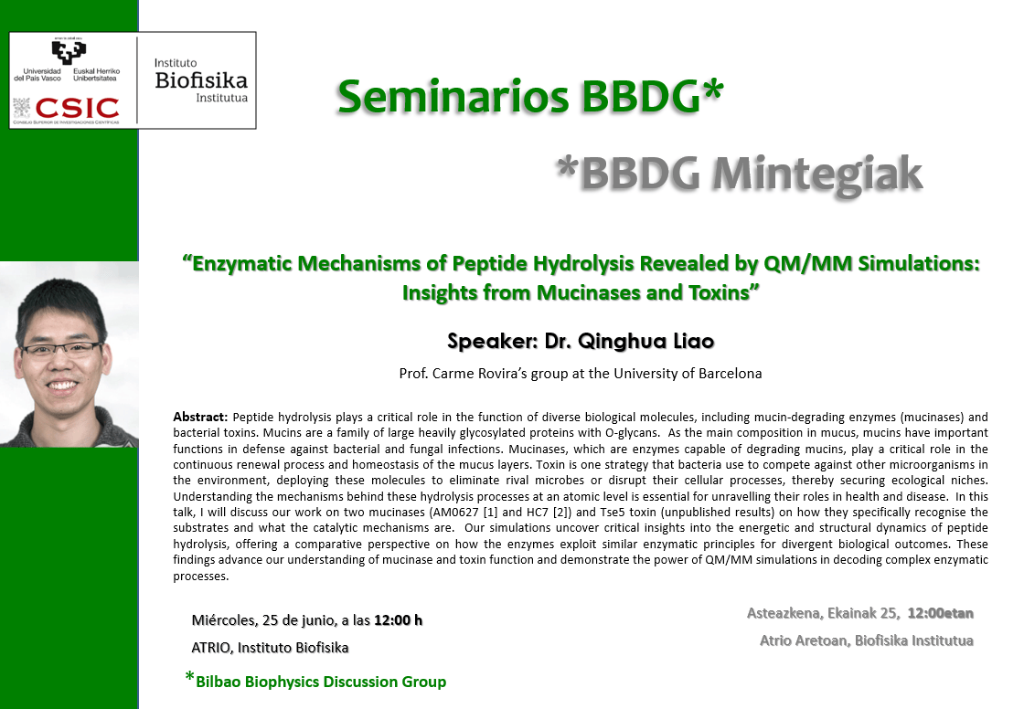 BBDG Seminar: "Enzymatic Mechanisms of Peptide Hydrolysis Revealed by QM/MM Simulations: Insights from Mucinases and Toxins"