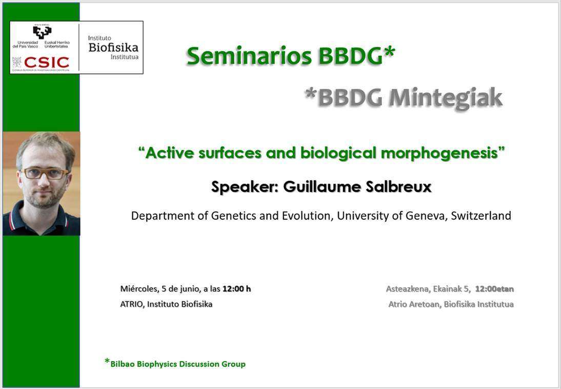 BBDG Seminars: "Active surfaces and biological morphogenesis"