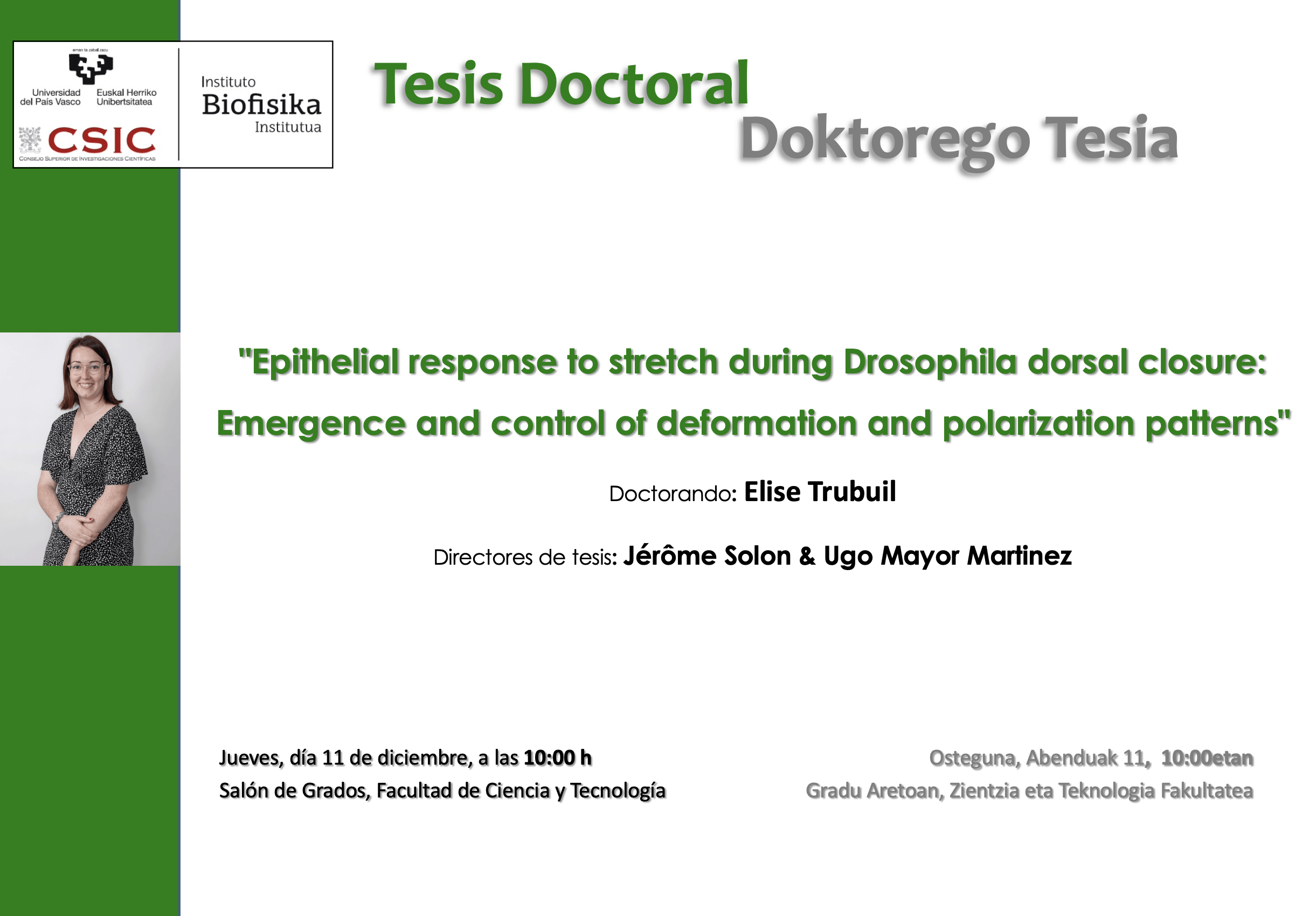 IBF Doctoral Thesis: "Epithelial response to stretch during Drosophila dorsal closure: Emergence and control of deformation and polarization patterns"