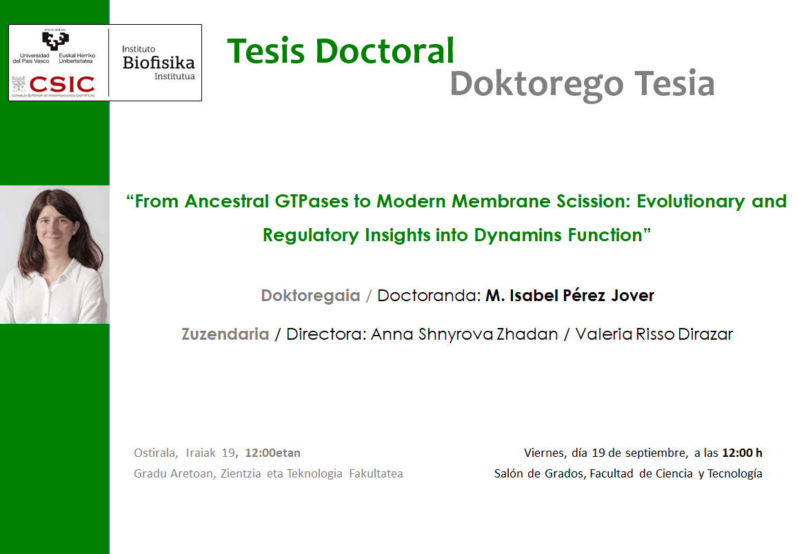 IBF Doctoral Thesis: "From Ancestral GTPases to Modern Membrane Scission: Evolutionary and Regulatory Insights into Dynamins Function"