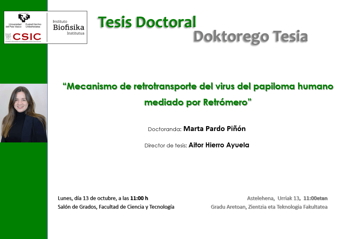 IBF Doctoral Thesis: "Mecanismo de retrotransporte del virus del papiloma humano mediado por Retrómero"