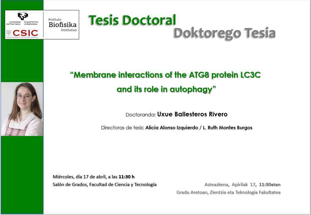 IBF Doctoral Thesis: "Membrane interactions of the ATG8 protein LC3C and its role in autophagy"