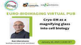 Eurobioimaging Virtual Pub: "cryo-EM as a magnifying glass into cell biology"