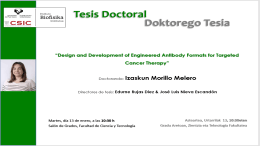 IBF Doctoral Thesis: "Design and Development of Engineered Antibody Formats for Targeted Cancer Therapy"