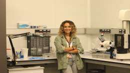 New strategies against HIV through antibody engineering