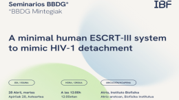BBDG Seminar: "A minimal human ESCRT-Ill system to mimic HIV-1 detachment"