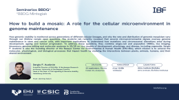BBDG Seminar: "How to build a mosaic: A role for the cellular microenvironment in genome maintenance"
