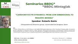 BBDG Seminar: "Cardiomyocyte dynamics: from low dimensional to realistic models"