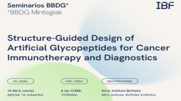 BBDG Seminar: "Structure-Guided Design of Artificial Glycopeptides for Cancer Immunotherapy and Diagnostics"