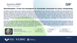 BBDG Seminar: "Nanofluidics: From ion transport in nanotube channels to ionic computing"