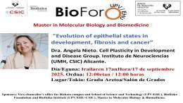 BioForo Seminar: "Evolution of epithelial states in development, fibrosis and cancer"