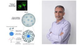 Biofisika Institute contributes to uncovering the dynamic inner workings  of nuclear pore complexes