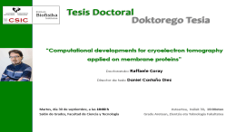 IBF Doctoral Thesis: "Computational developments for cryoelectron tomography applied on membrane proteins"