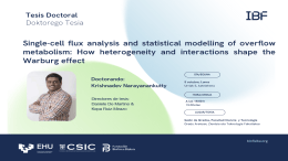 IBF Doctoral Thesis: "Single-cell flux analysis and statistical modelling of overflow metabolism: How heterogeneity and interactions shape the Warburg effect"