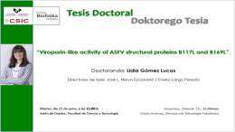 IBF Doctoral Thesis: "Viroporin-like activity of ASFV structural proteins B117L and B169L"