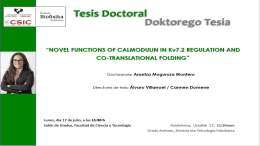 IBF Doctoral Thesis: "NOVEL FUNCTIONS OF CALMODULIN IN Kv7.2 REGULATION AND CO-TRANSLATIONAL FOLDING"