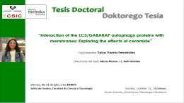 IBF Doctoral Thesis: "Interaction of the LC3/GABARAP autophagy proteins with membranes: Exploring the effects of ceramide"