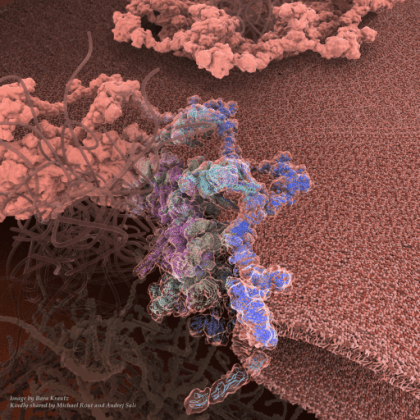 Integrative Structural and Functional Characterization of Macromolecular Assemblies Laboratory