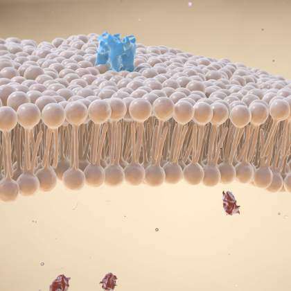 Membrane Nanomechanics Laboratory