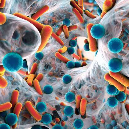 Structural Microbiology Laboratory