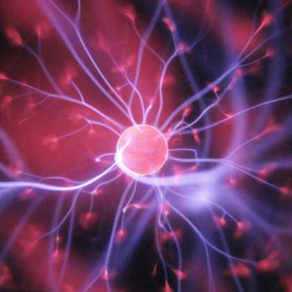 Biocolloids and neutron scattering