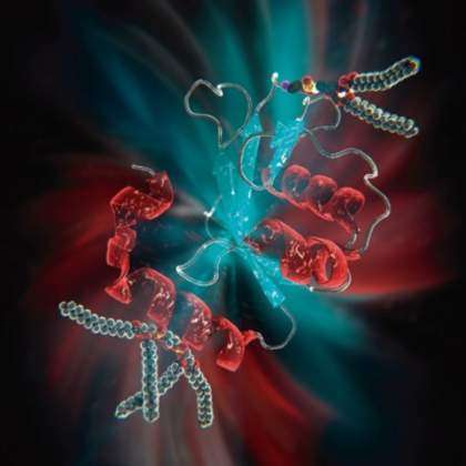 Lipid-Protein Interactions in Cellular Processes Laboratory