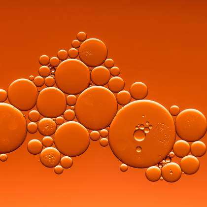 Sphingolipids and Membrane Domains Laboratory